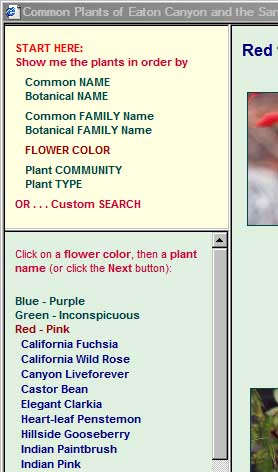 Choice of plant lists