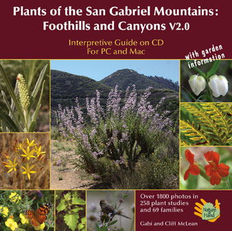 Cover of Plants of the San Gabriel Mountains: Foothills and Canyons - Interpretive Guide on CD