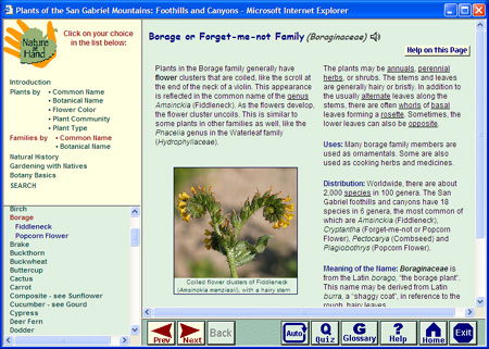 A sample Family Page